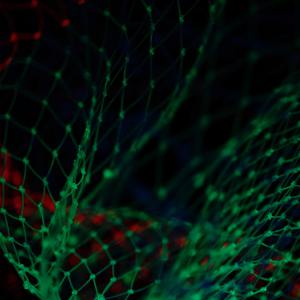 Deep Learning Workshop at rstudio::conf(2020) :: Posit Open Source