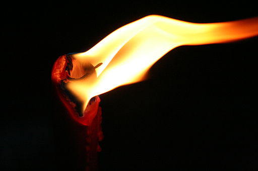Using torch modules :: Posit Open Source