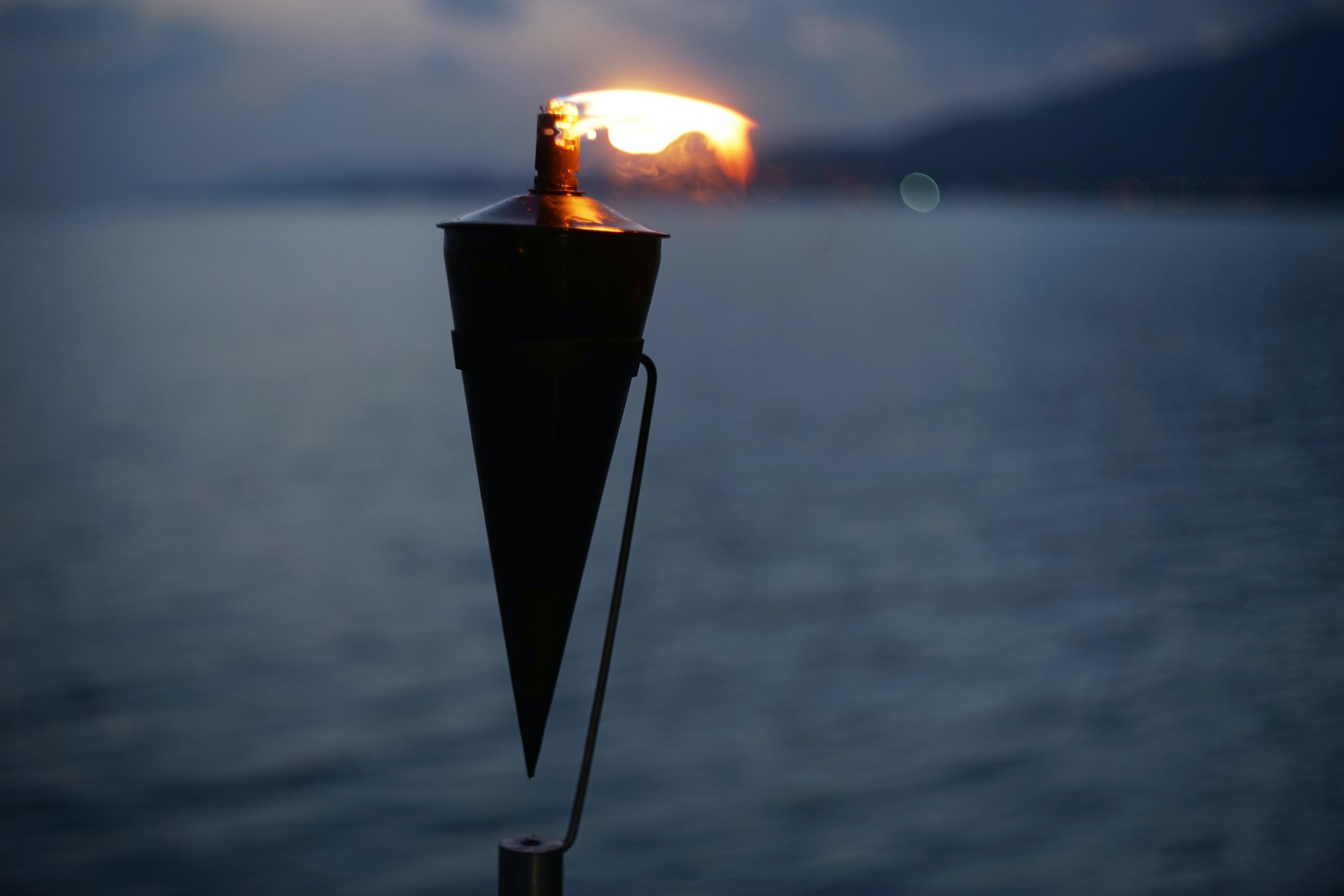 torch 0.2.0 - Initial JIT support and many bug fixes :: Posit Open Source