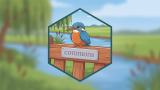 Introducing commons