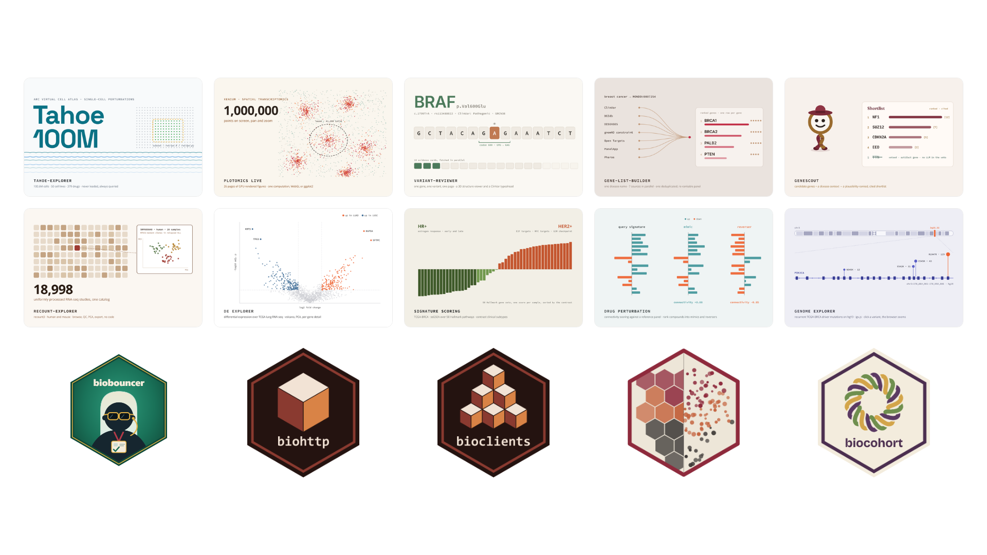 Genomes, Prompts, and Shiny: What I Built During My Summer at Posit ...