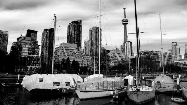 Black and white photo of sailboats docked at a marina, some under white winter covers, with high-rise buildings and the CN Tower in the background.
