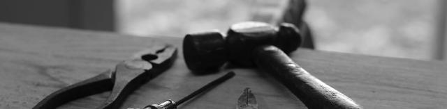 Supporting the Carpentries