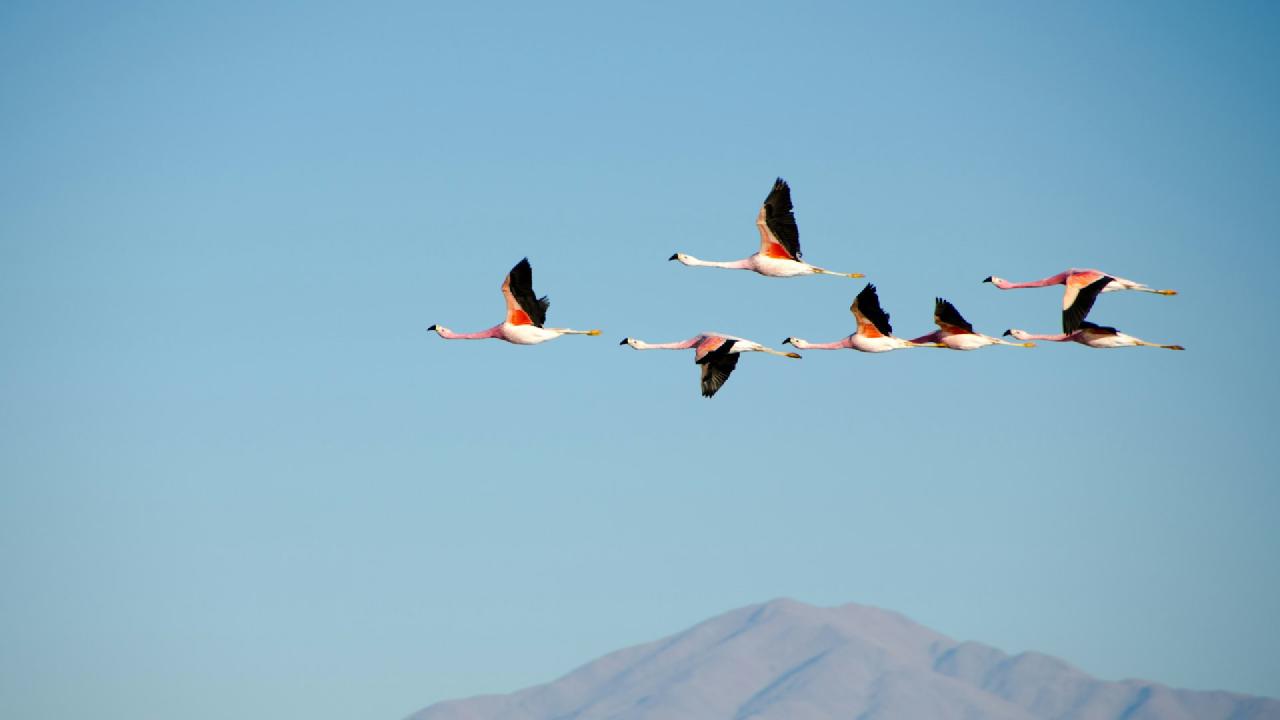 Joining the R Community