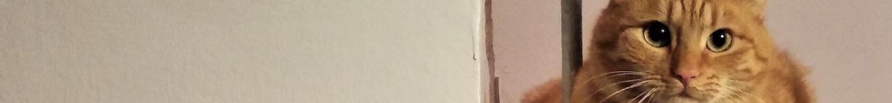 Tidy Time Series and Forecasting in R