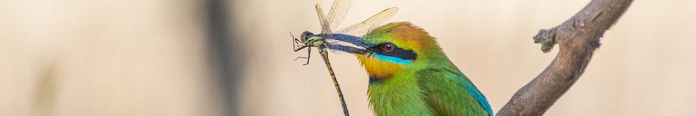 My First Software Engineering Internship