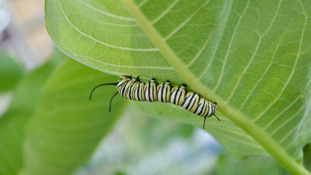 Tidymodels Internship