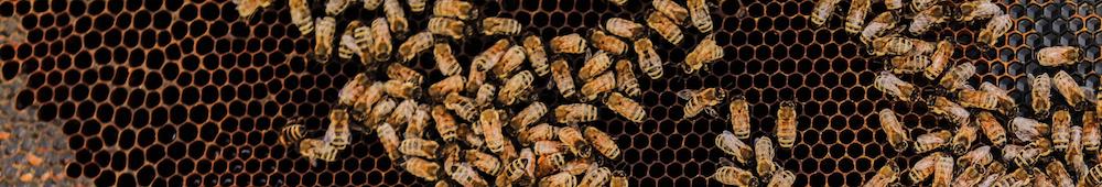 What it Was Like Interning for RStudio