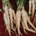 parsnip