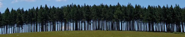 Parallel processing with tune