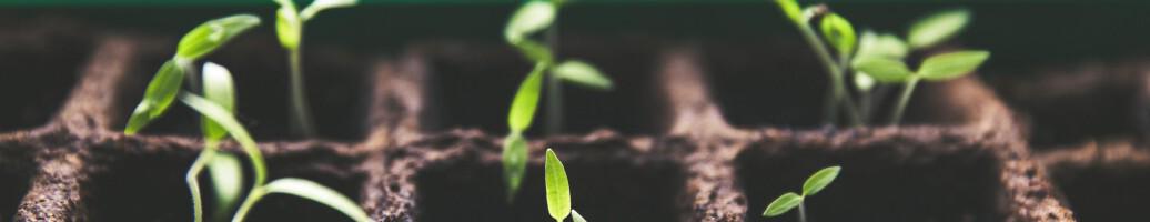 Updates for parsnip packages