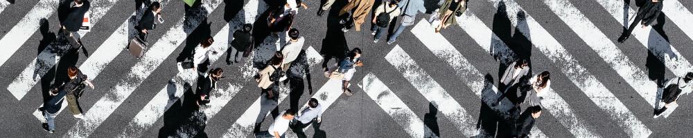 `purrr::walk()` this way