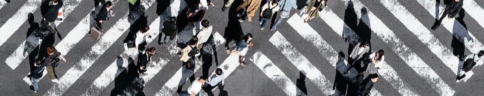 `purrr::walk()` this way