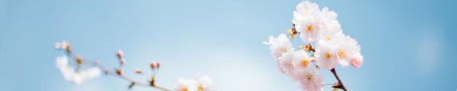 Package spring cleaning