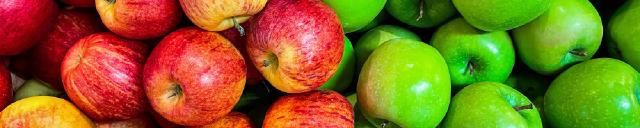 Teaching the tidyverse in 2023