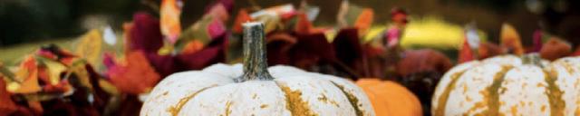 Q3 2023 tidymodels digest