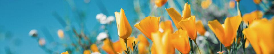 Q1 2024 tidymodels digest