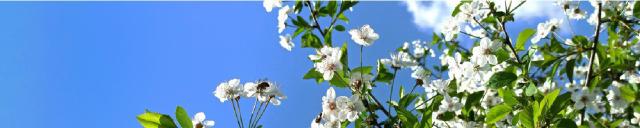 Take the tidymodels survey for 2024 priorities