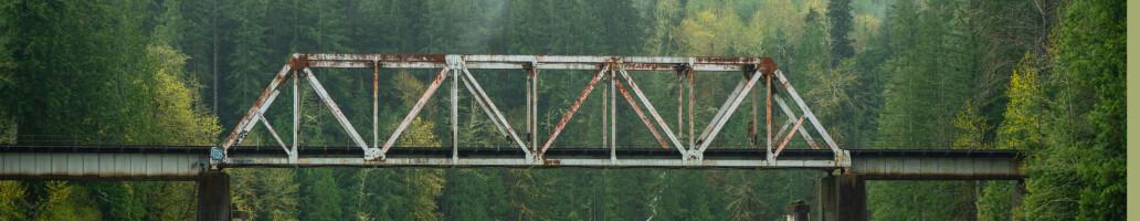 R and the Model Context Protocol