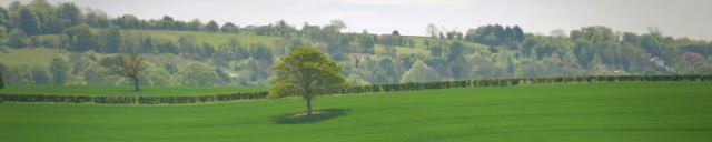 Improved sparsity support in tidymodels