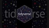 All the tidyverse packages