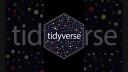 All the tidyverse packages