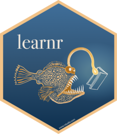 learnr :: Posit Open Source